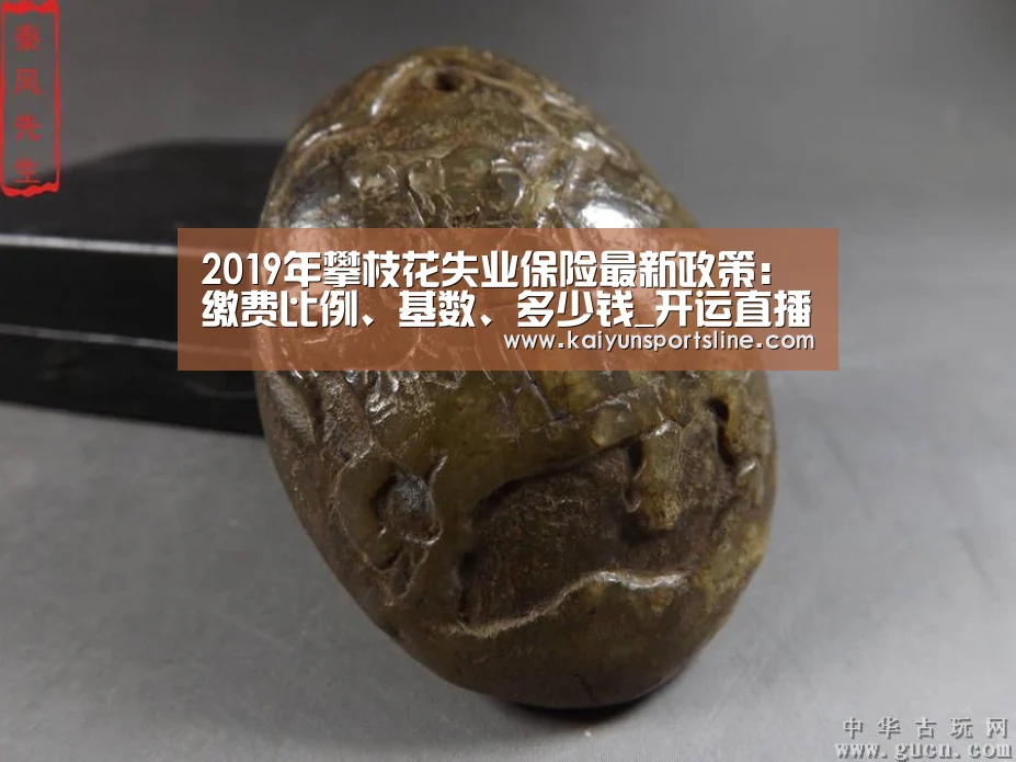 2019年攀枝花失业保险最新政策:缴费比例、基数、多少钱_开运直播(图3) 开运赛事