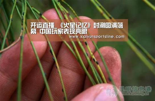 开运娱乐