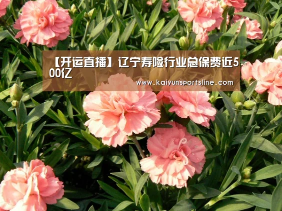 【开运直播】辽宁寿险行业总保费近500亿(图3) 开运直播