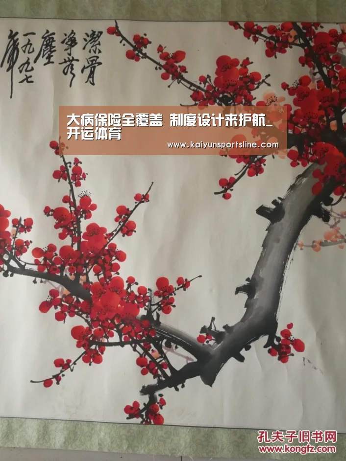 大病保险全覆盖 制度设计来护航_开运体育(图3) 开运娱乐