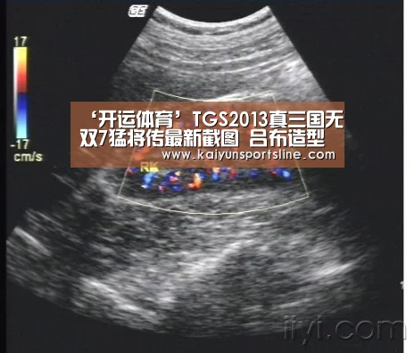 ‘开运体育’TGS2013真三国无双7猛将传最新截图 吕布造型霸气(图4) 开运赛事
